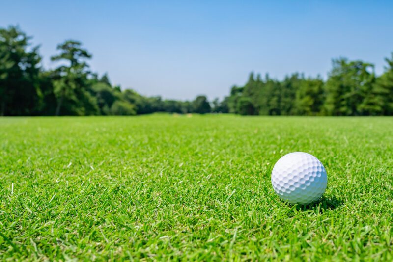  Golf Course where the turf is beautiful and Golf Ball on fairway. Golf course with a rich green turf beautiful scenery.